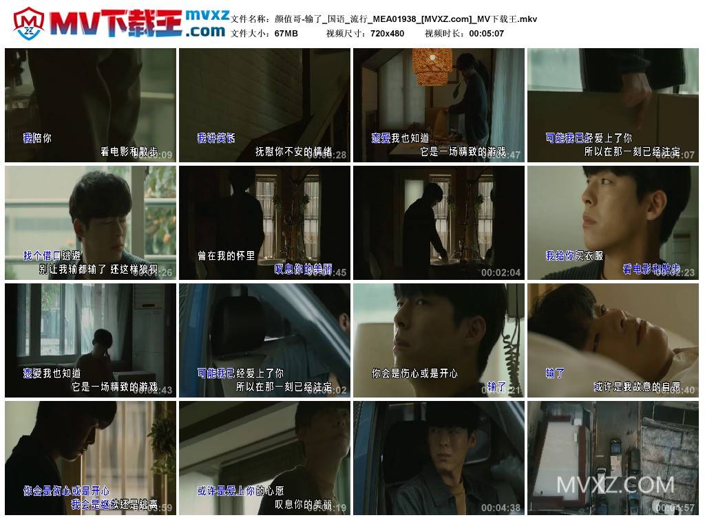 颜值哥-输了_国语_流行_MEA01938